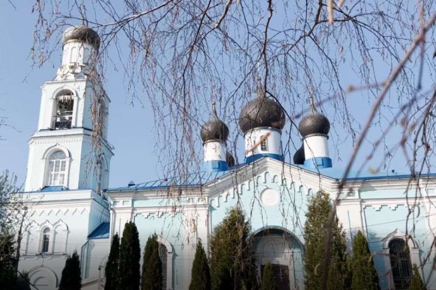 «Ромашковое поле»