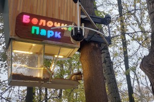 Афиша парка